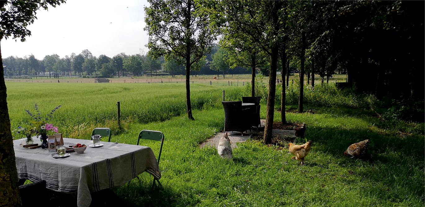 landelijk logeren in het buitengebied van Hilvarenbeek